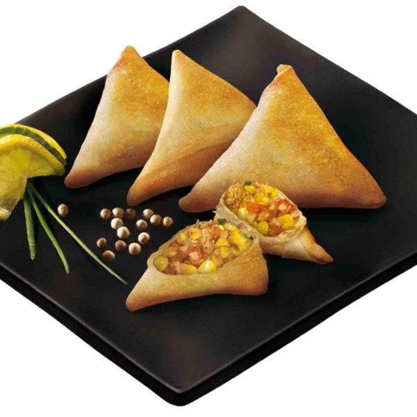 3160000079 - SAMOSA DE POLLO TIKA 2