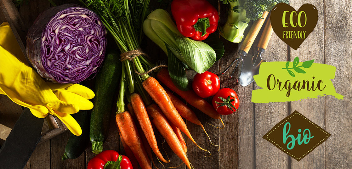 Verduras y hortalizas ecologicas